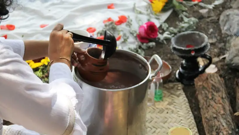 Ayahuasca: Şifalı İçecek mi Yoksa Yasaklı Bir Madde mi?