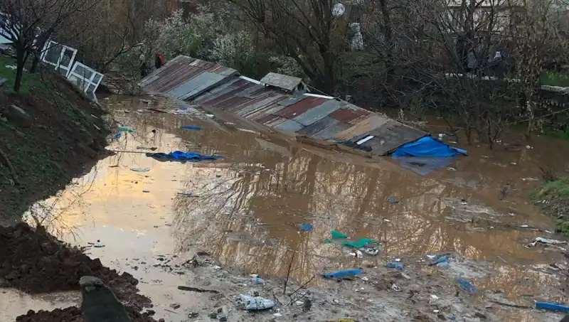 Bingöl’deki Şiddetli Yağmur Ahırlara Zarar Verdi, Hayvanlar Tehlikede