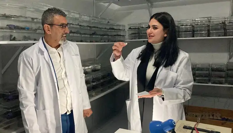 Akrep Zehrini Şekere Damlatıp Yiyen İncelik: Nedir Bu Trend?