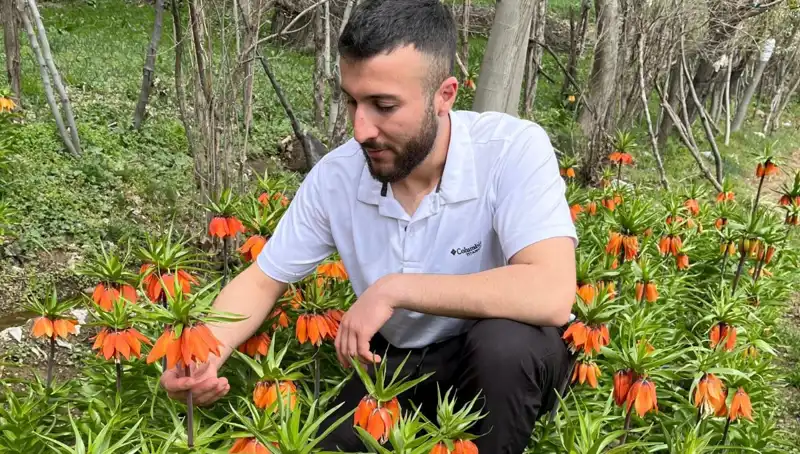 "Ağlayan Gelin: Bu Eşsiz Bitkiyi Koparmanın Cezası 244 Bin Lira!"