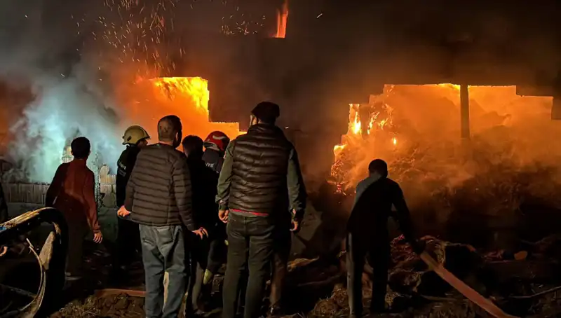 Bolu'da Tüm Yükselişine Rağmen Ahır Yangınıyla Yıkıma Uğrayan Aile