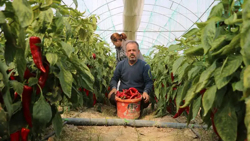 Fiyat Artışı Şok Etmeye Devam Ediyor: 50 TL'den 80 TL'ye!