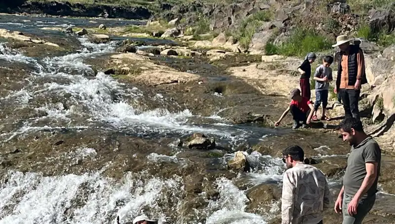 İnci Kefalinin Büyüleyici Göçü: Sıra Dışı Yolculukları Turistleri Büyülüyor