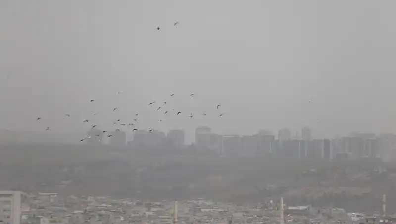 Şanlıurfa'da Toz Bulutu Alarmı: Göz Gözü Görmüyor!