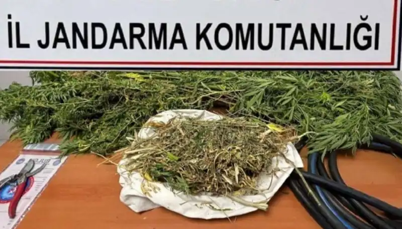 Niğde'de Uyuşturucu Operasyonunda 10 Gözaltı: Detaylar Belli Oldu!