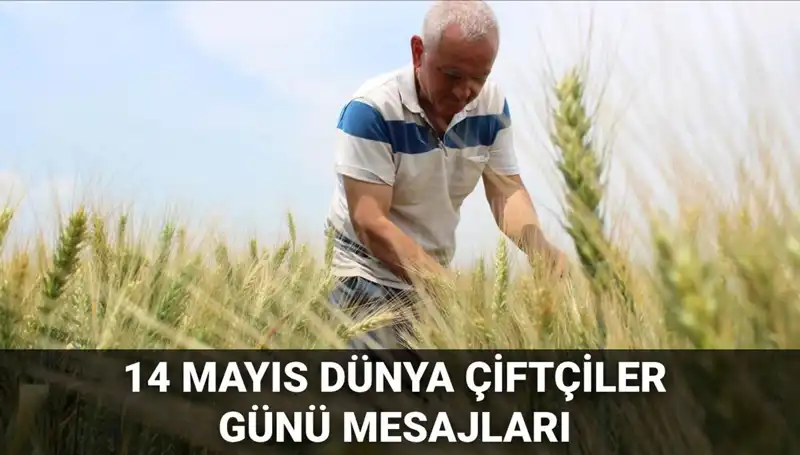 14 Mayıs Dünya Çiftçiler Günü: Çiftçilerin Emeklerini Anlamak için Özel Mesajlar