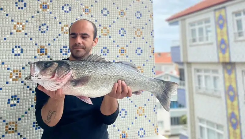 Türkiye'nin Balık Avı Tarihinde Bir İlk: 7,5 Kiloluk Dev Levrek Yakalandı!