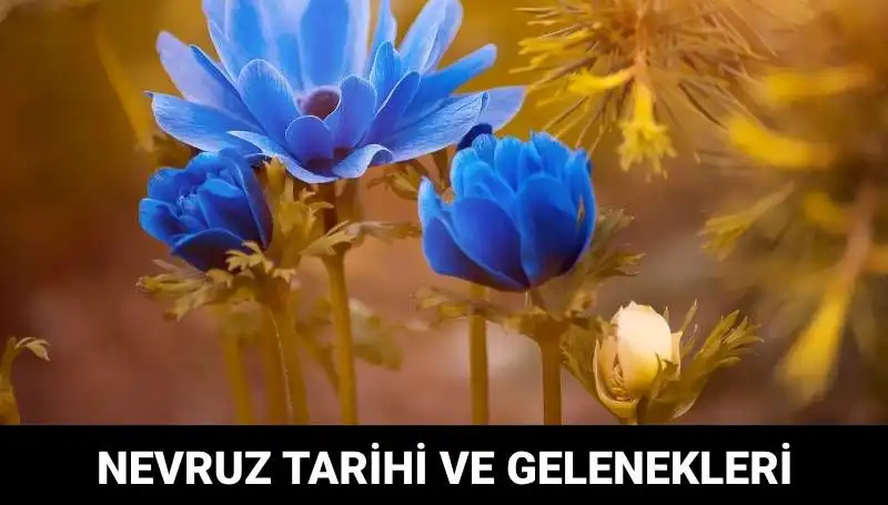 Nevruz Bayramı: Gelenekleri ve Kutlama Tarihleri ile Zengin Bir Kültürel Miras