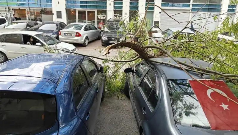 Kayseri'de Korkutan Fırtına: Ağaçlar Dallarıyla Birlikte Yıkıldı
