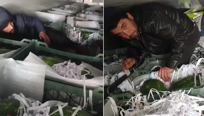 Karpuzların Arasında Sıradan Bir Gün, Tam Bir Göçmen Dramı!