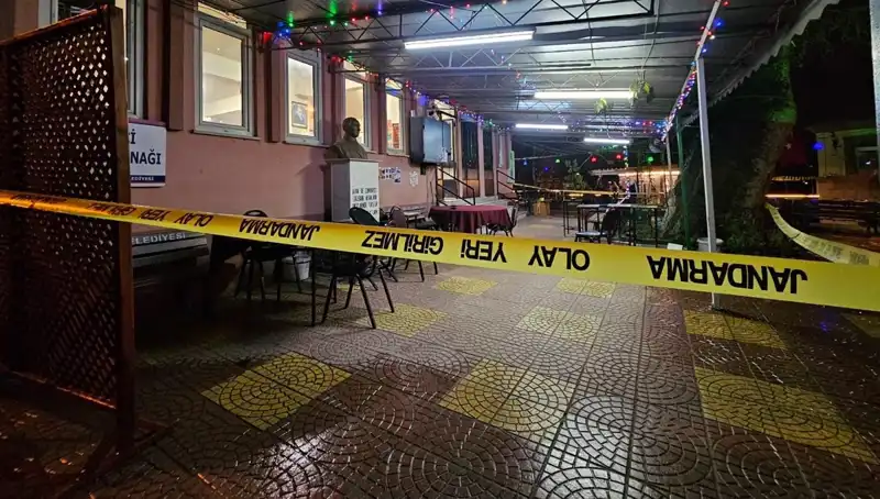 Meclis Üyesi Adayına Silahlı Saldırı: Ülke Gündemini Sarstı!