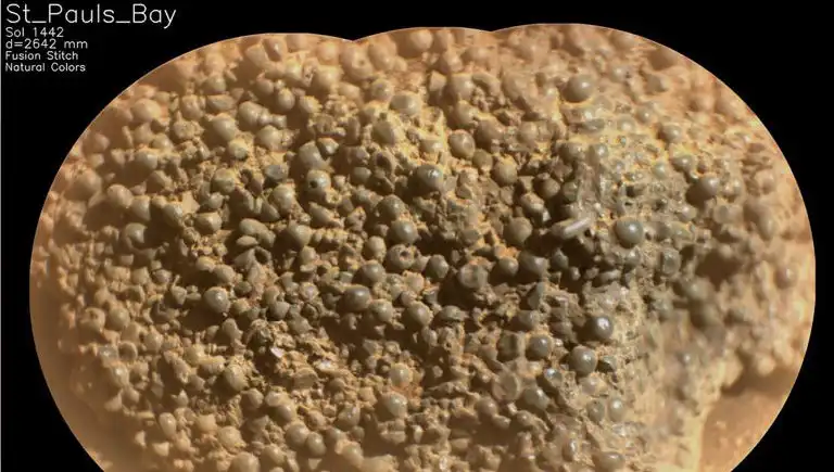 Mars'ta Keşfedilen Gizemli "Örümcek Yumurtaları": Bilim Dünyasını Sarsacak!