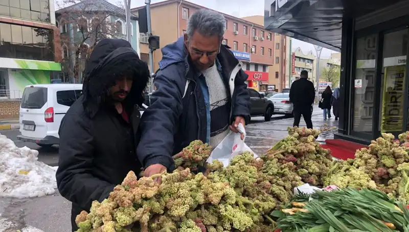Kendiliğinden Yetişen Doğal Vitamin Deposu: Yeni Kanser İlaçları ile Umut Veriyor